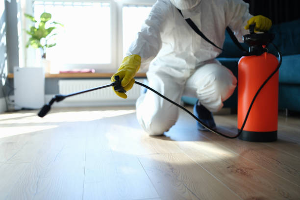 Reliable Sewage Cleanup contractor in Crestline, CA by Dulley Family Biohazard Services